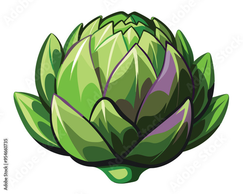 Artichoke vector illustration on white background