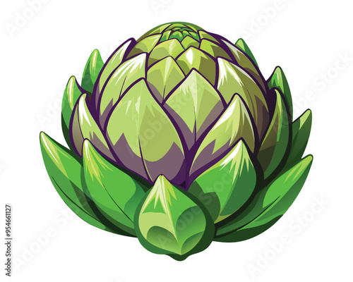 Artichoke vector illustration on white background