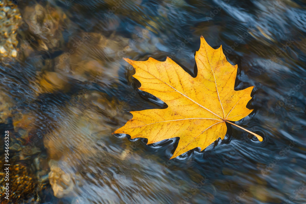 A vibrant yellow maple leaf floats gently on the surface of a clear, flowing stream, reflecting the beauty of nature. A vibrant yellow maple leaf floats gently on the surface of a clear, flowing stream, reflecting the beauty of nature.