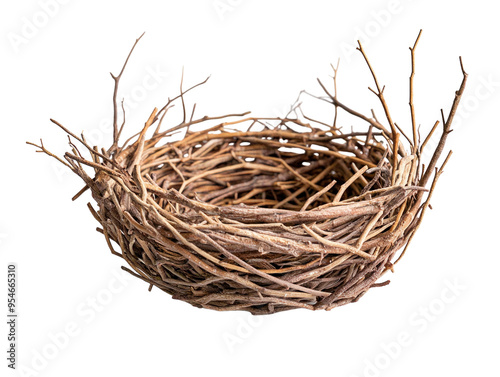 Empty bird's nest made of twigs on a white background. PNG transparent.