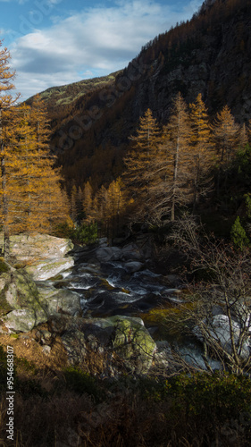 creek in antrona valley during autumn