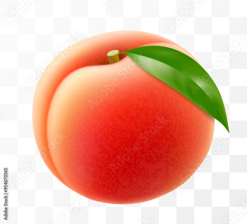 Ripe juicy peach isolated on transparent background. Delicious sweet fruit. Realistic 3d vector illustration. Summer design. Concept of healthy food, vegetarian dieting