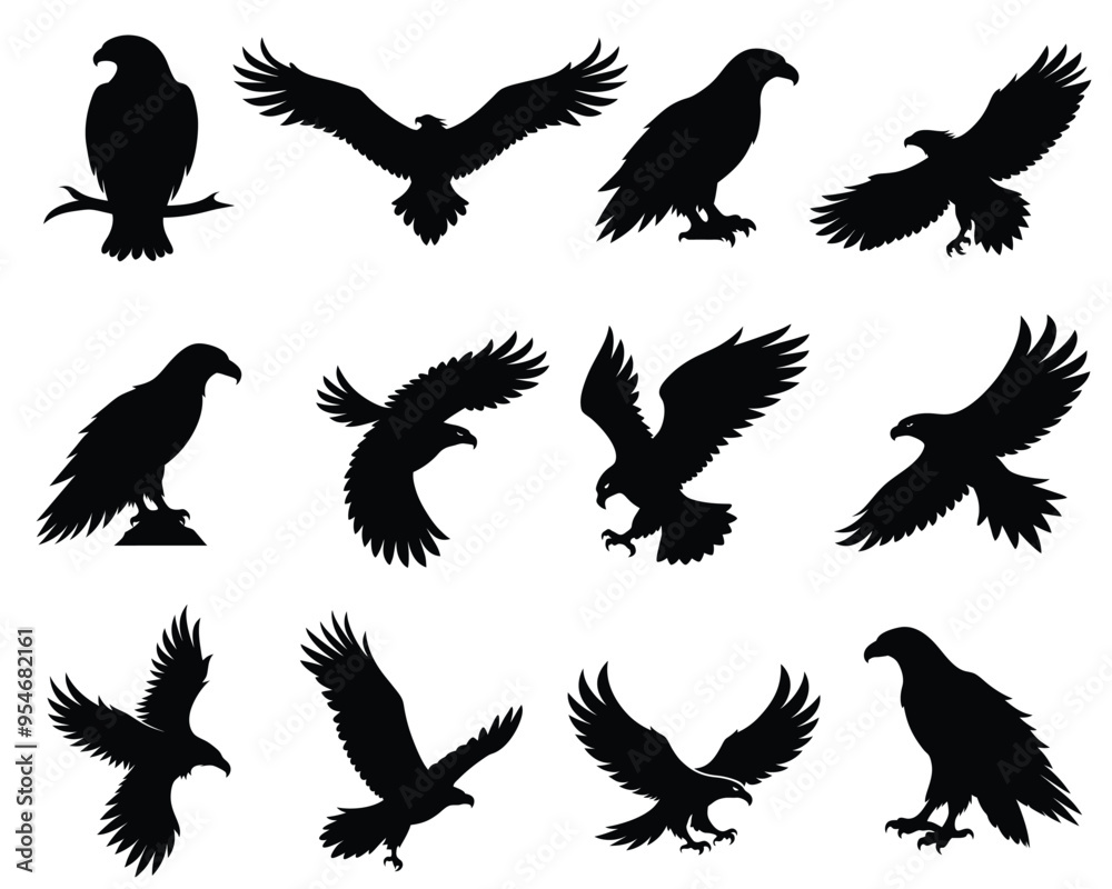 Eagle Silhouette Collection Black Vector Set Isolated on White Background