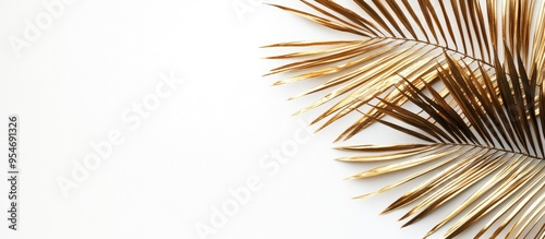 Tropical golden leaf palm t...