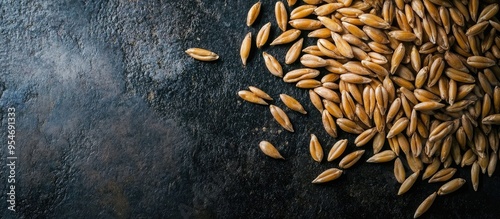 Sprouted wheat seeds on a d...