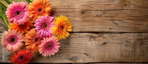 Gerber flowers on a wooden background with copyspace