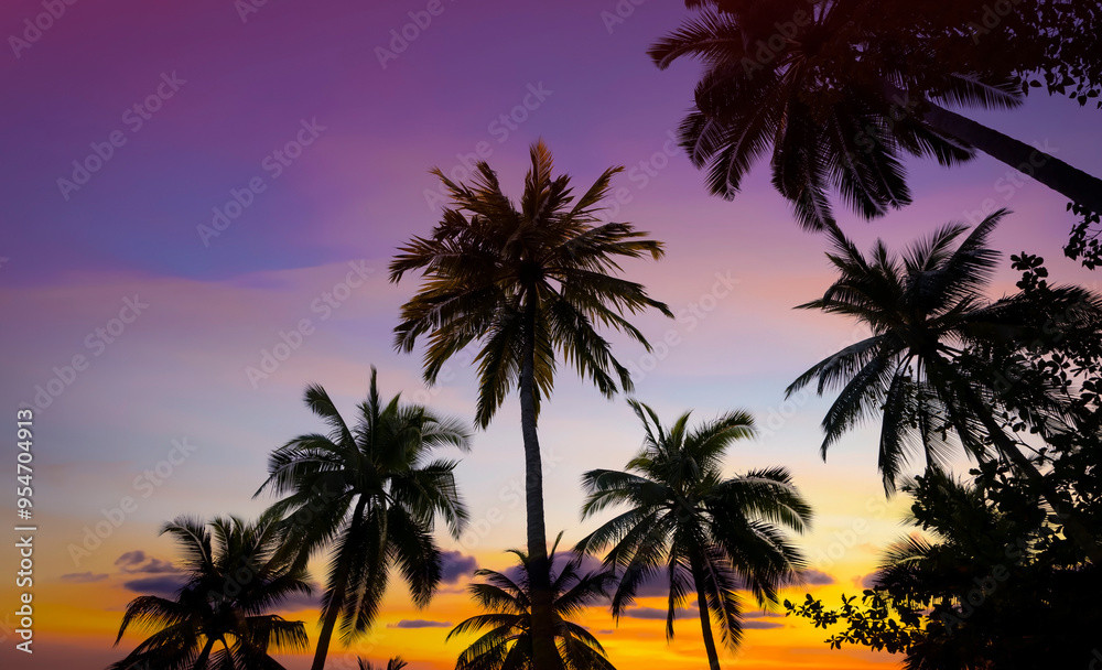 Banner Summer with colorful theme as palm trees background as texture frame background Banner Summer with colorful theme as palm trees background as texture frame background