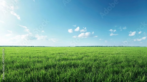 Beautiful natural scenic panorama green field of cut grass into and blue sky with clouds on horizon. Perfect green lawn on summer sunny day with generative ai