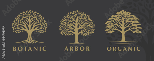 Sophisticated set of three tree vector logos with botanical themes, perfect for nature-inspired branding and organic businesses.