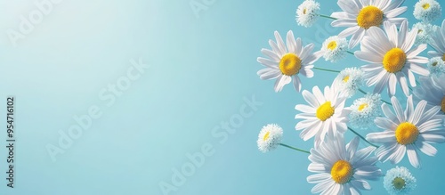 The sun consists of daisies...