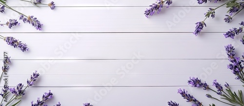 Frame of lavender on a whit...