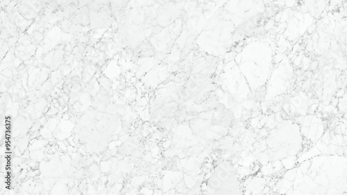 Natural white marble texture background, abstract, floor, marble, interior, room, space, wallpaper, vintage, texture, modern, surface, stone, studio, white, architecture, light, wall, blan