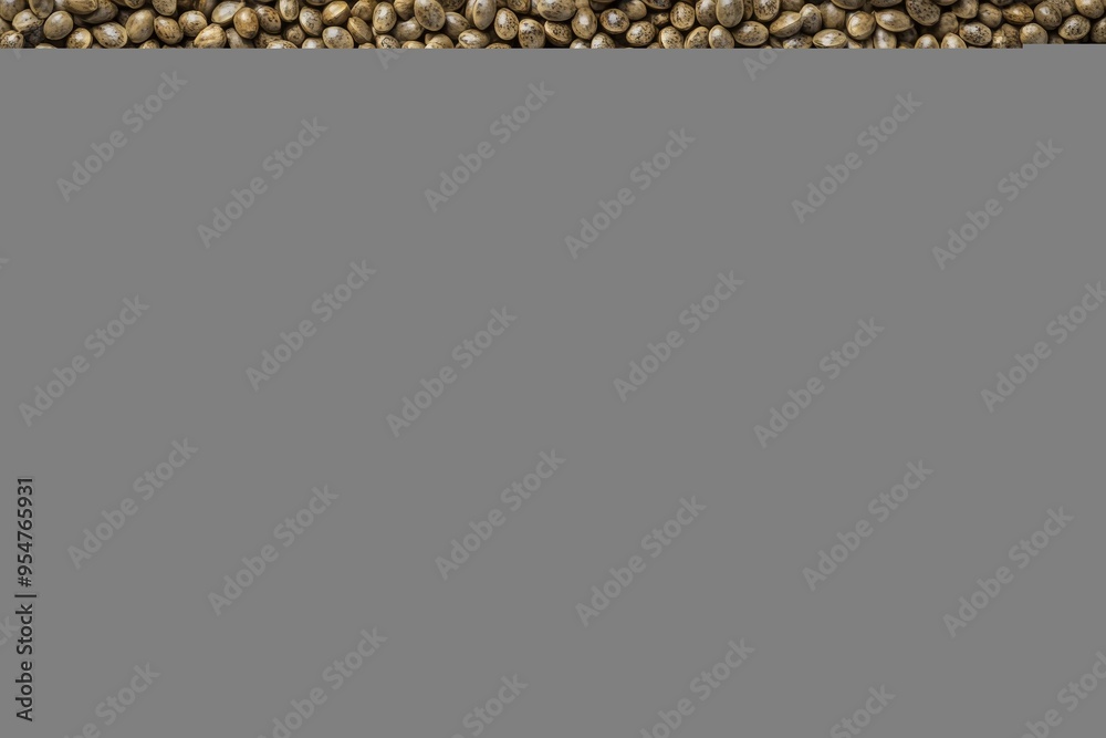 Wooden spoon with hemp seeds, macro close up. Hemp seed background, closeup, top view. Wooden spoon with hemp seeds, macro close up. Hemp seed background, closeup, top view.