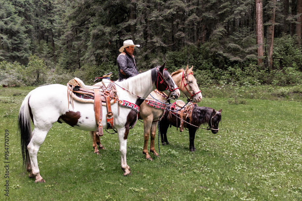 Horseback riding in a lush green forest at La Marquesa, Mexico Horseback riding in a lush green forest at La Marquesa, Mexico
