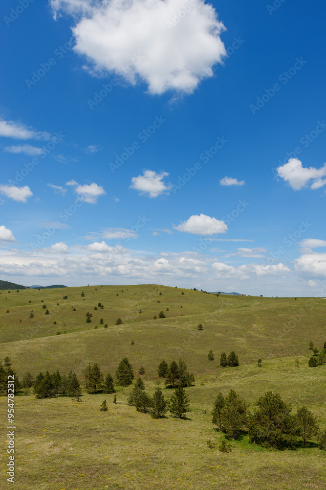 Fototapeta premium green hills against blue sky with white clouds in summer on a sunny day