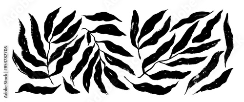 Collection of abstract brush drawn branches with long leaves. Botanical silhouette, doodle plant shapes. Exotic botanical background in sketch grunge style. Black twig, leaves or sprig silhouettes set
