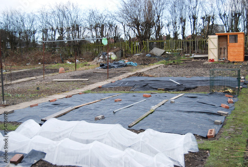 Grow our  own  allotment  weed  cover  self  sufficient  photo