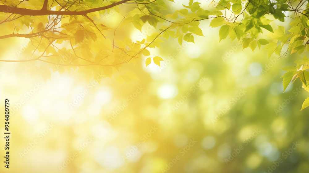 Sunlit Leaves on Tree Branches in a Lush Green Forest Sunlit Leaves on Tree Branches in a Lush Green Forest