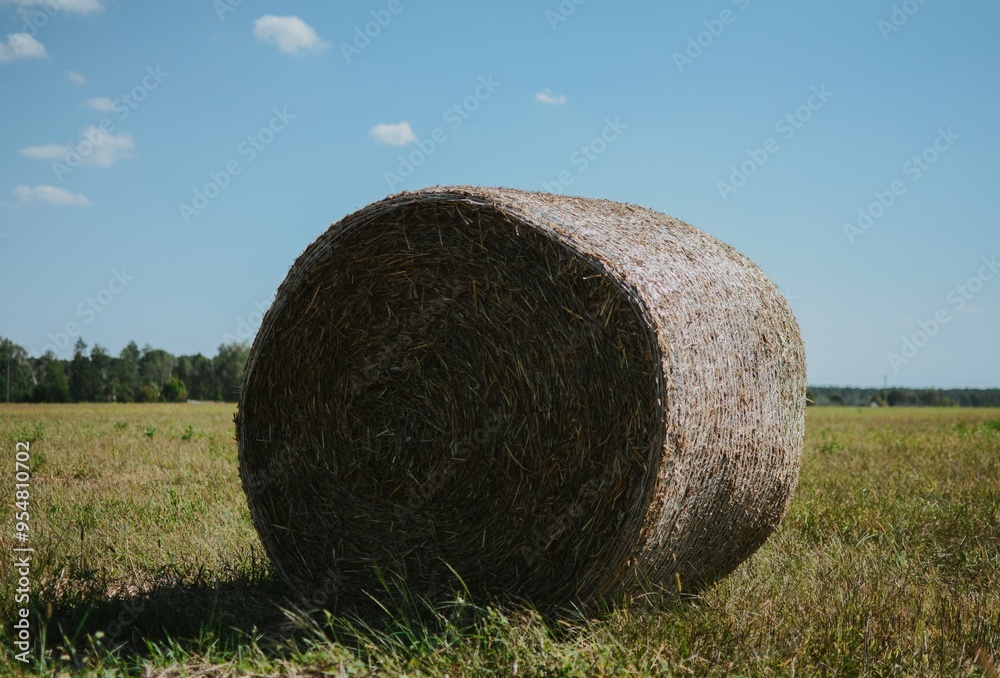 macro shooting of wrapped round hay bales on the field after harvest in Europe in summer