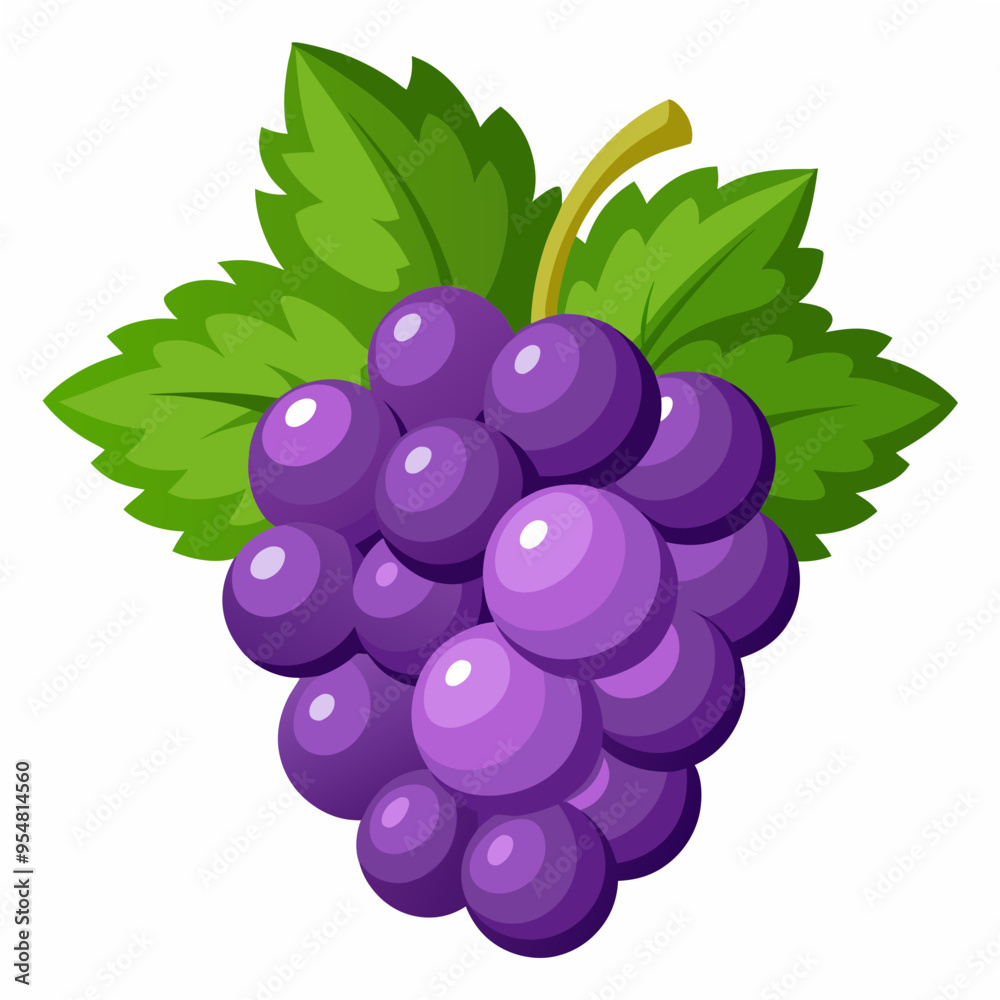 Grape Vector Illustration for Creative Projects Grape Vector Illustration for Creative Projects