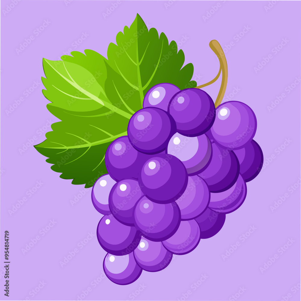 Grape Vector Illustration for Creative Projects Grape Vector Illustration for Creative Projects