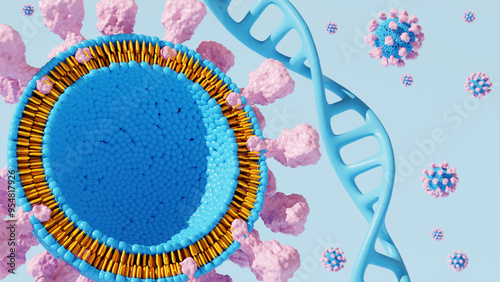 Phospholipid membrane structure cross-section showing molecular structure with hydrophilic head and hydrophobic tails. photo