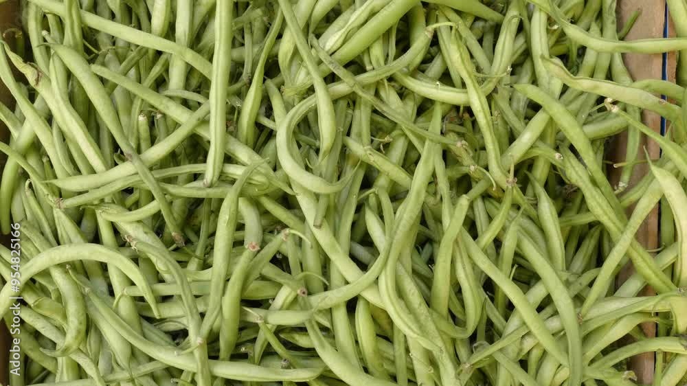 Green beans fresh from the Italian market Green beans fresh from the Italian market