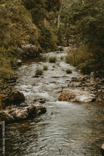 Nature walk water fall photo