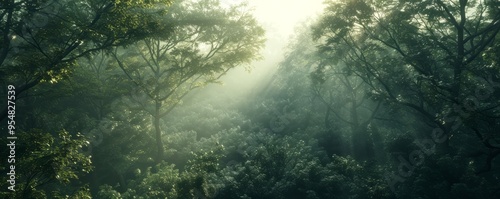 Dawn light piercing through a dense forest, 4K hyperrealistic photo,