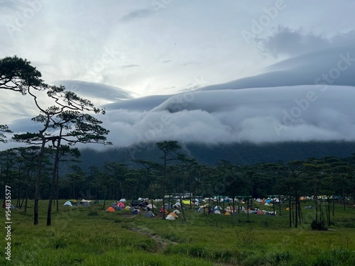 Campground and many tents in pine tree forest with landscape of mountain and fog at Phu Soi Dao National Park, Uttaradit, Thailand. photo