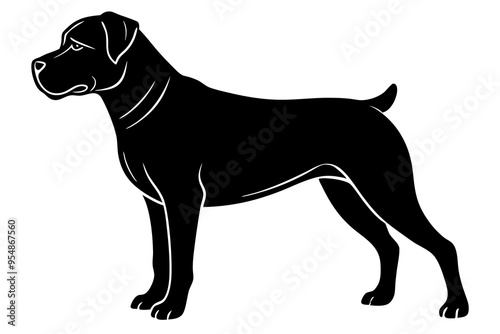 Rottweiler Vector Illustration - Strong Confident Guard Dog Clipart photo