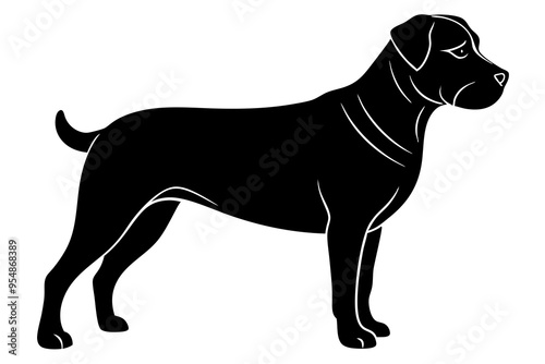 Rottweiler Vector Illustration - Strong Confident Guard Dog Clipart photo