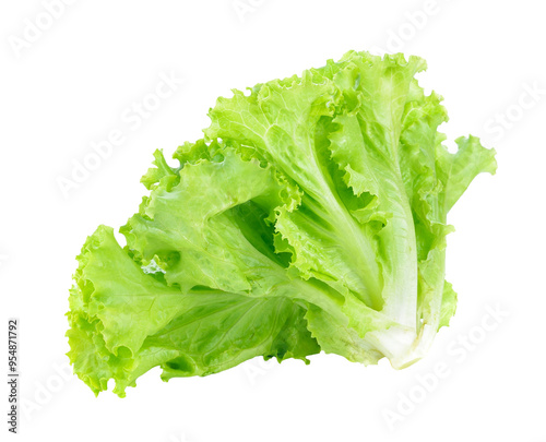 Fresh lettuce transparent png