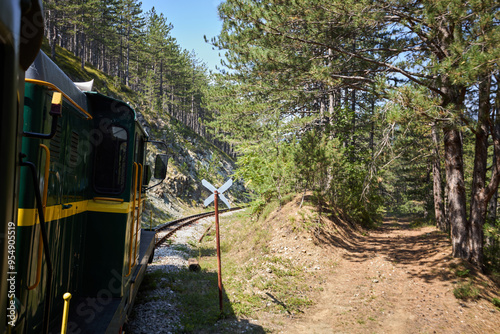 Vintage Train Through Summer Mountains