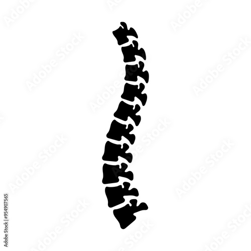Vector illustration of backbone on transparent background