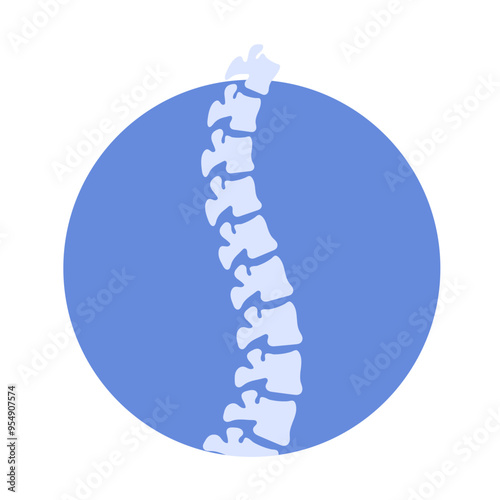 Vector illustration of backbone on transparent background