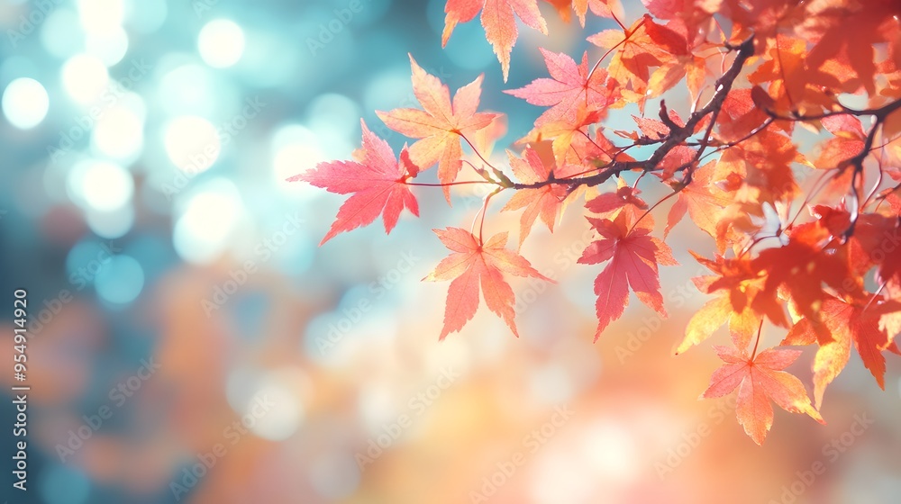 Autumn Maple Leaves with Bokeh Background Autumn Maple Leaves with Bokeh Background