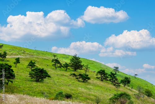 Wallpaper Mural 爽やかな青空の高原 Torontodigital.ca