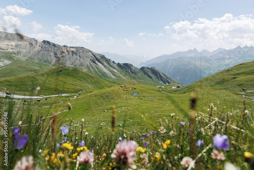 Scenic Idyllic mountain landscape panorama view of cow herd grazing on green grass wild meadow at European high Alps mountains pasture valley. Nature alpine grassland countryside Austria Tyrol scene