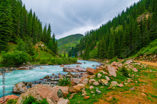 rainy weather summer mountain river landscape with rocks on river banks and spruce forest on mountain slopes photo