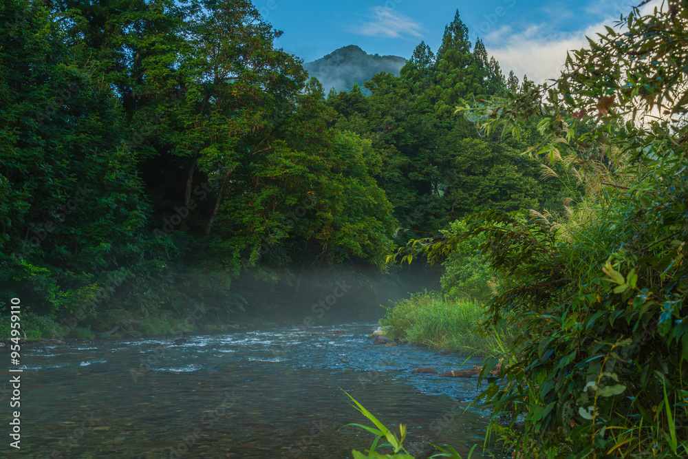 Obraz premium 薄霧の中、静かに流れる清流