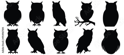 Owl silhouette set vector design big pack of bird illustration and icon