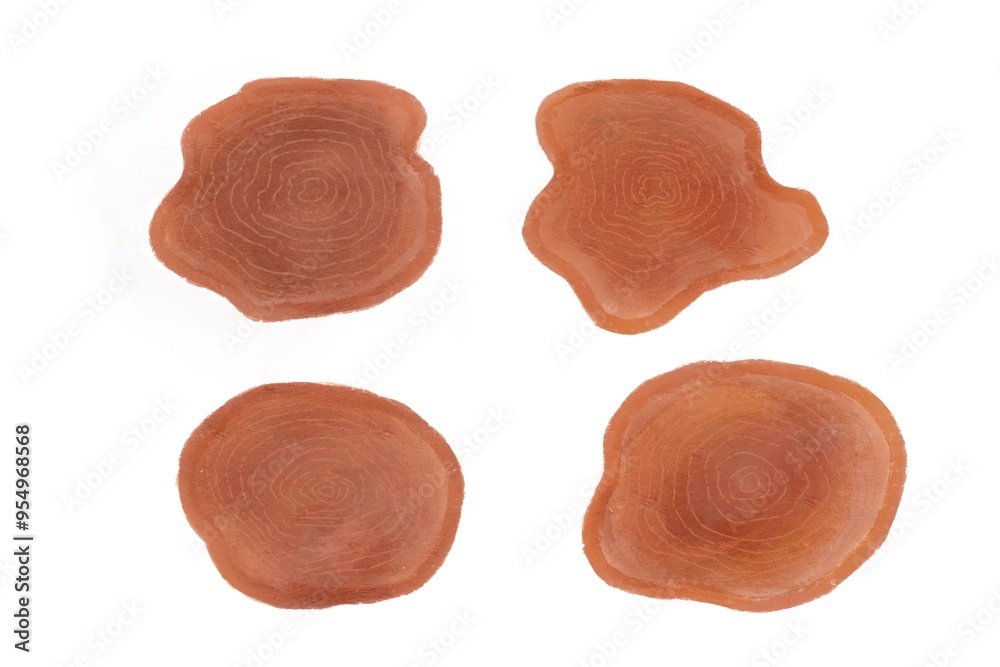 tree growth rings tree growth rings