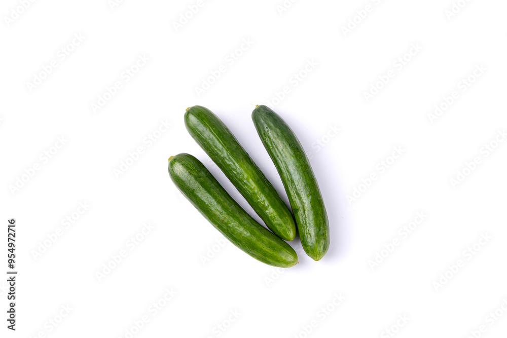 vegetable vegetable