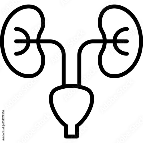 Nephrology Icon