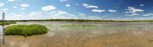 Billabong im australischen Northern Territory photo