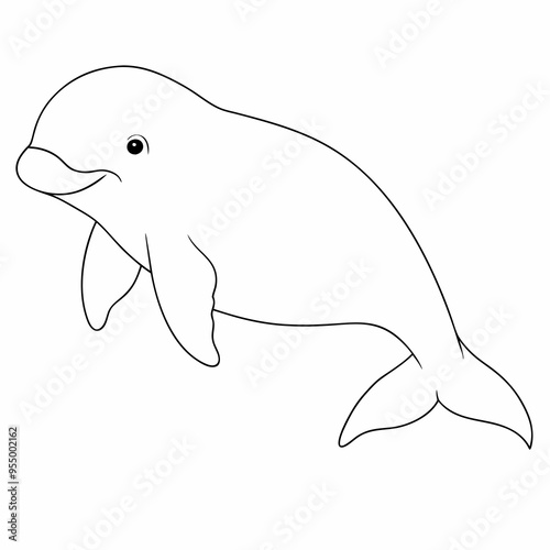 Beluga whale vector art illustration on white background