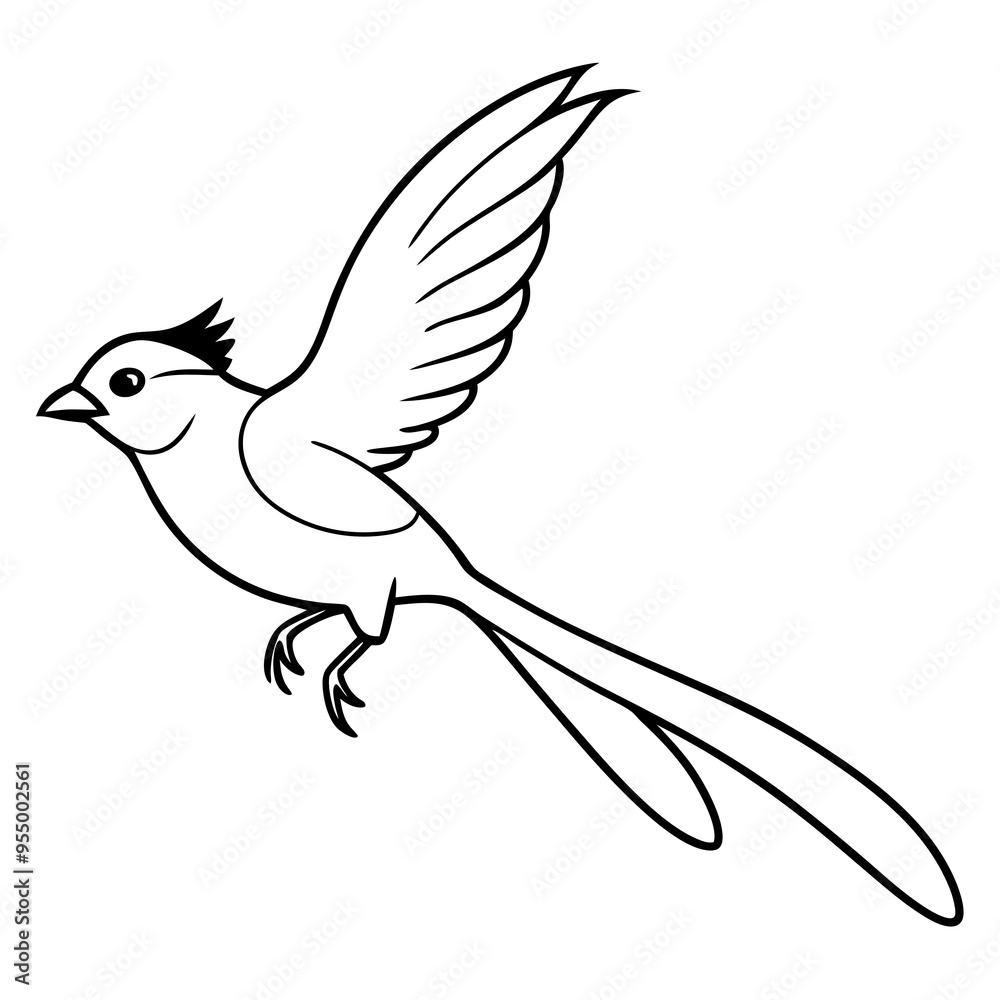 Obraz premium Long-tailed Titmouse bird in flying movement vector artwork