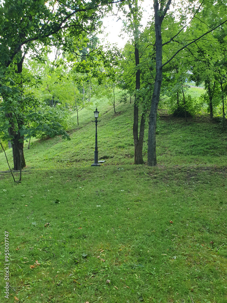 Hilly green lawn in city park, lush green grass, trees, nature Hilly green lawn in city park, lush green grass, trees, nature