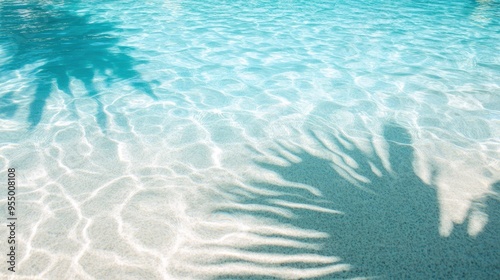 The clear, turquoise water of a tropical pool creates a serene atmosphere, enhanced by palm shadows dancing on the surface